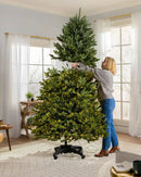 Árvore de Natal  e Micro LEDs Embutidos